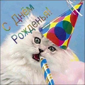 Прикольные поздравления бабушке с Днем рождения