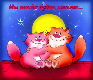 Сднем влюбленных жене прикольно